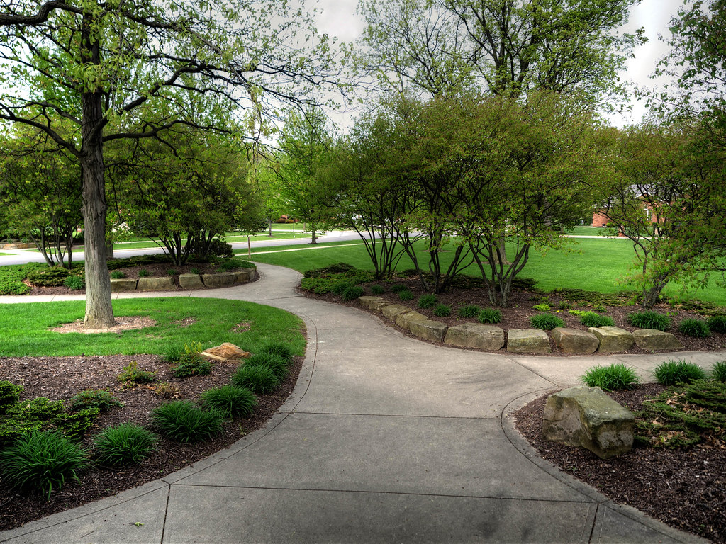 a newly landscape garden