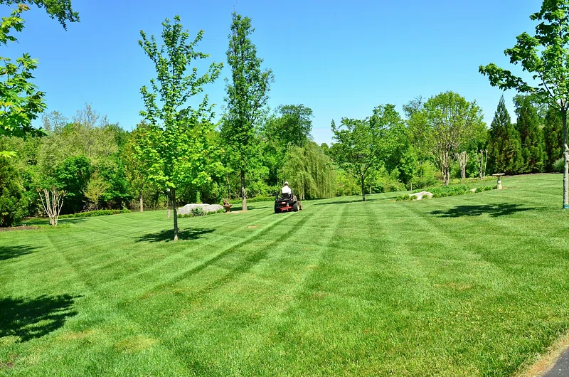 man holding a lawn mower